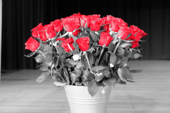 150 rote Fairtrade-Rosen wurden durch Feria-Schülerinnen an den Abiturjahrgang 2016 übergeben