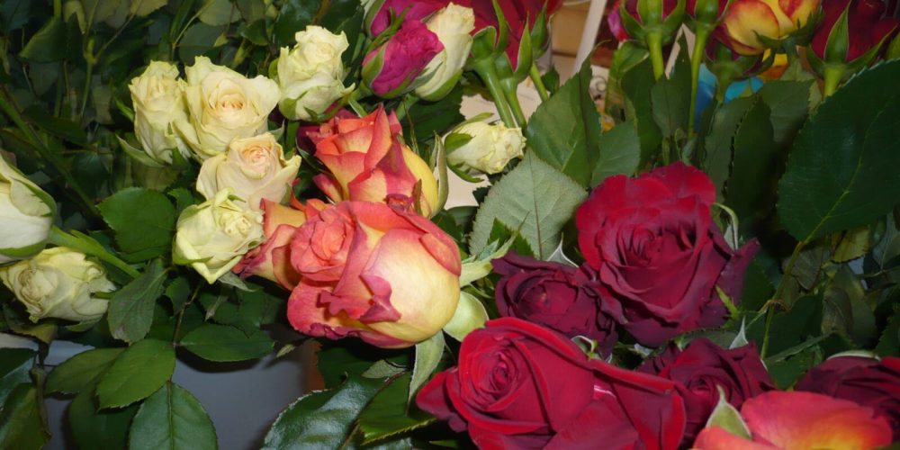 Faire Rosen zum Valentinstag