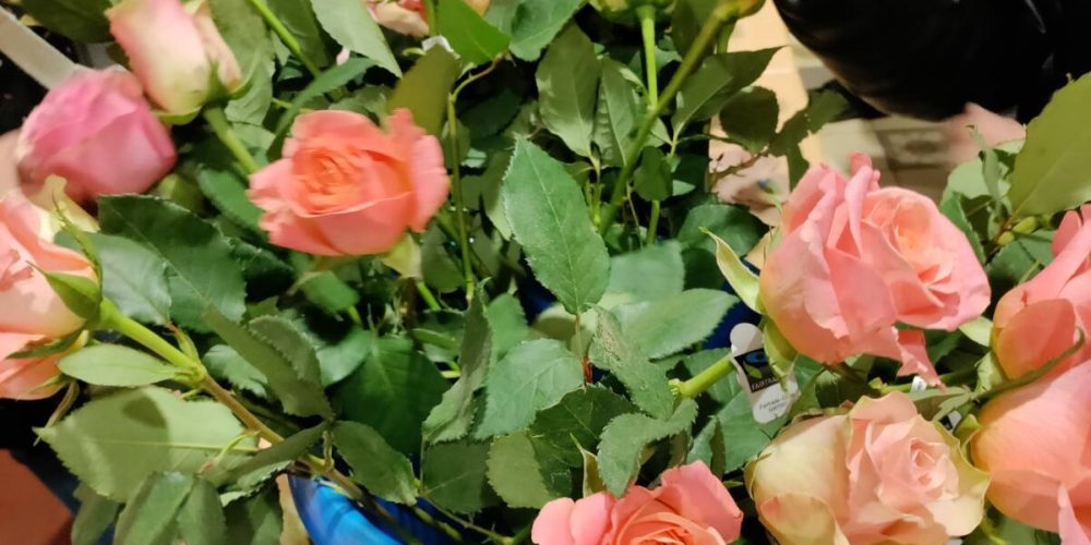 Rosenaktion im März zum Weltfrauentag