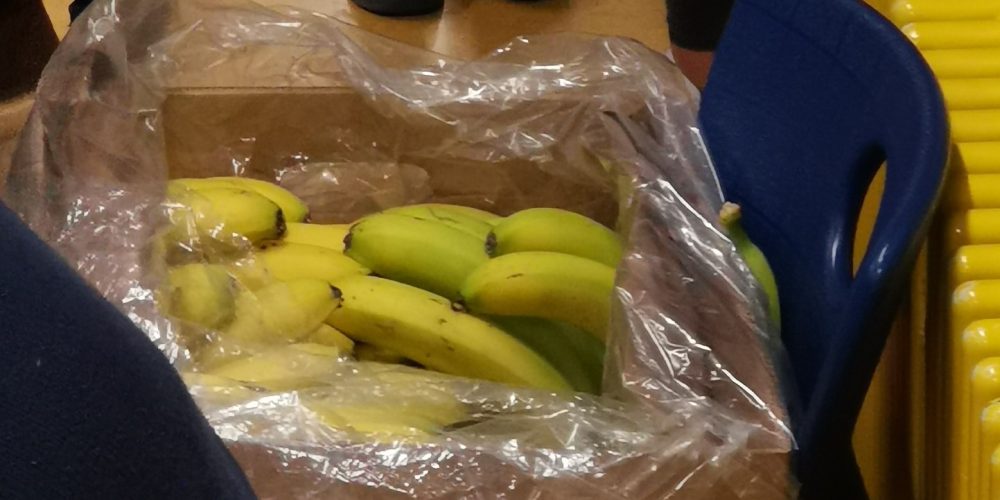 Fair Trade-Bananenaktion – Es geht auch anders: Bio & Fair