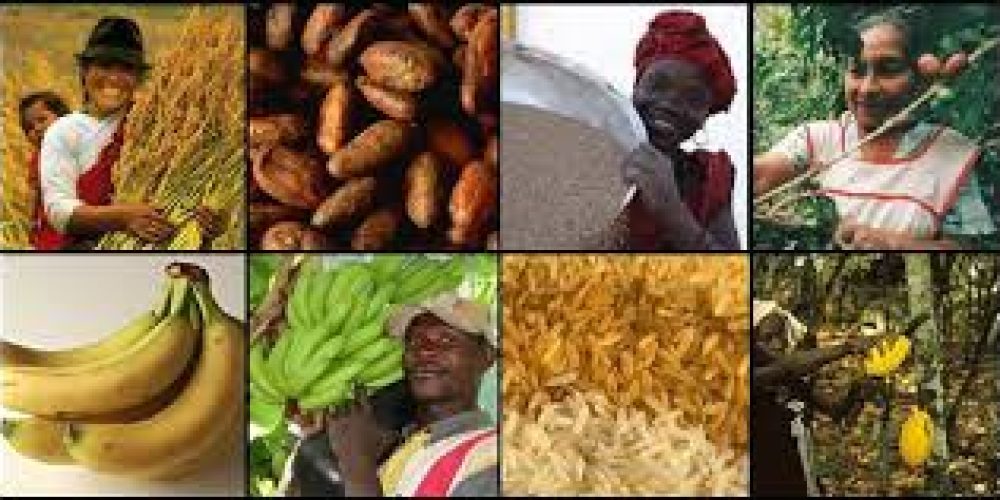 Angebot & Nachfrage – Grundsätzliches am Beispiel Fairtrade