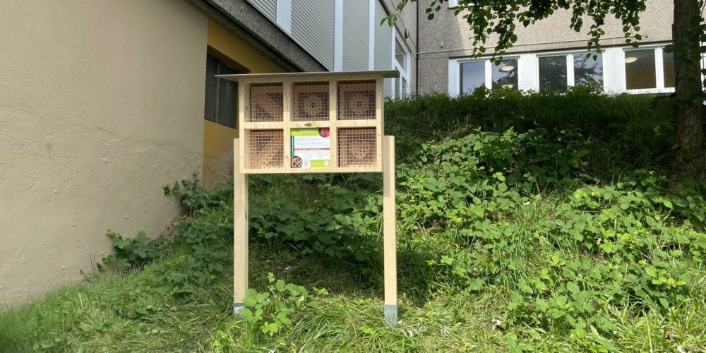 Ein Summen der Nachhaltigkeit – Unser neues Insektenhotel auf dem Schulhof