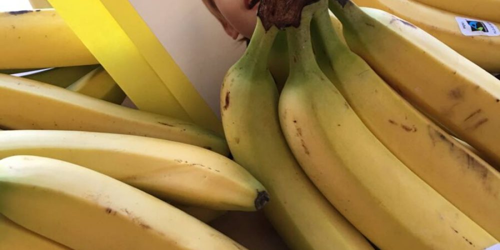 Faire Bananen als Highlight auf dem Pausenbuffet