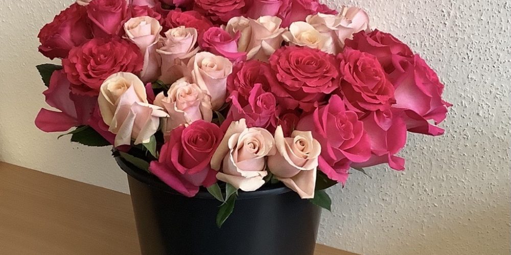 Rosenaktion zum Valentinstag