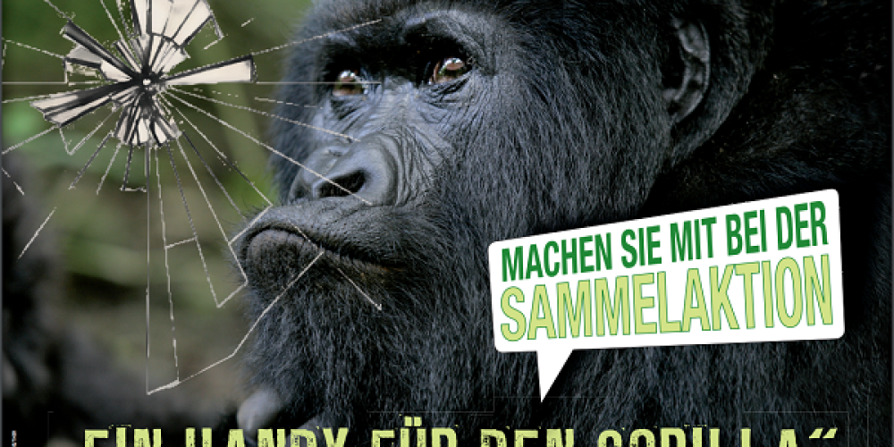 Sammelaktion der 12 IK  „Ein Handy für den Gorilla“