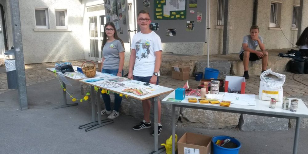 Schulfest 2018: Fairtrade, Sonnenblumen und Mirabellen