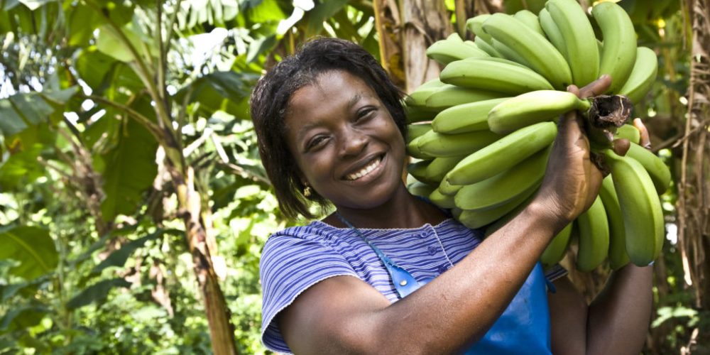 Neue Broschüre – Fairtrade wirkt