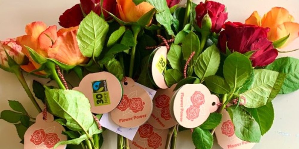 Sag es durch die Blume: die Rosenaktion 2021/22 der Constantin-Vanotti-Schule