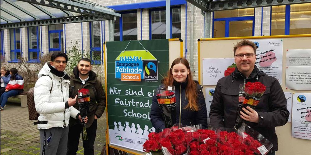 Deine Fairtrade-Rose für den Krefelder Zoo