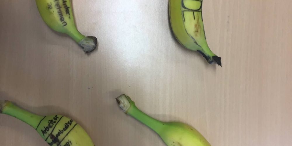 Referat zum Thema                  ” Fairtrade-Bananen “