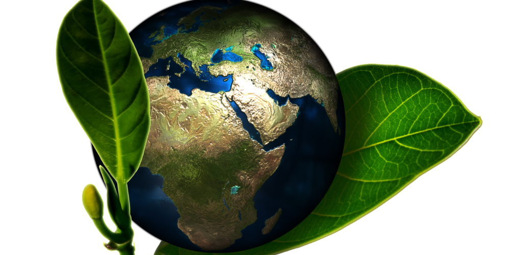 „Freies, grünes oder gar kein Wachstum: Wie kann es nachhaltig weitergehen?“